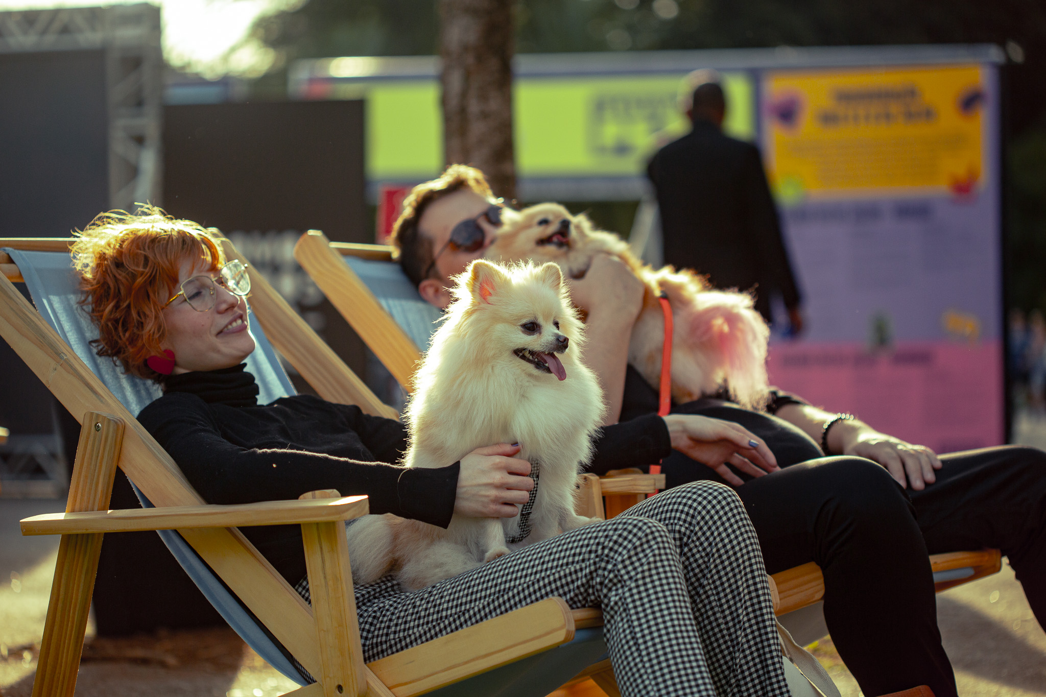 Pessoas relaxando em cadeiras com seus cachorros no Festival Pet